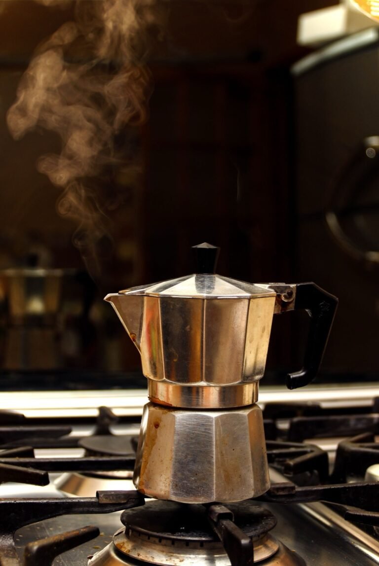 Cafetera italiana de acero inoxidable al fuego